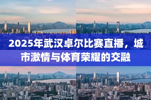 2025年武漢卓爾比賽直播,城市激情與體育榮耀的交融