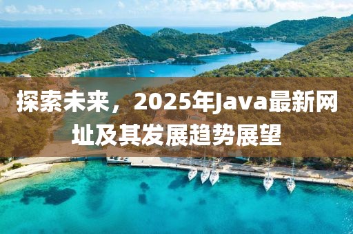 探索未來,2025年Java最新網址及其發展趨勢展望