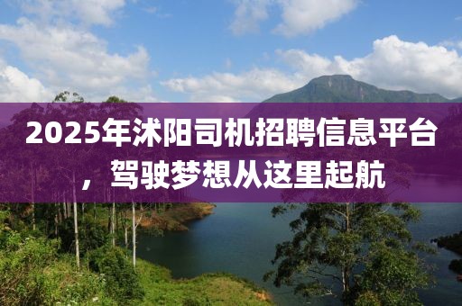 2025年沭陽司機招聘信息平臺，駕駛夢想從這里起航