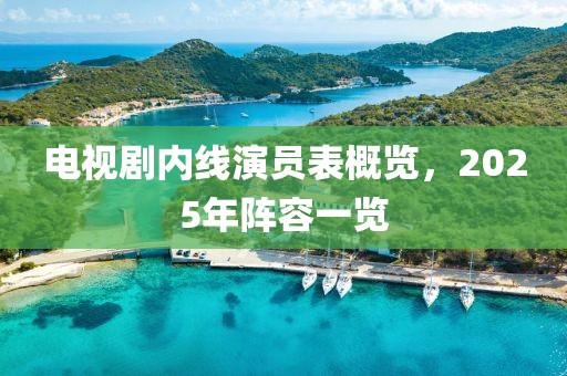 電視劇內(nèi)線演員表概覽,2025年陣容一覽