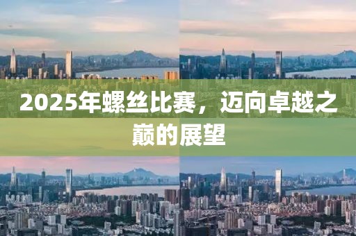 2025年螺絲比賽,邁向卓越之巔的展望
