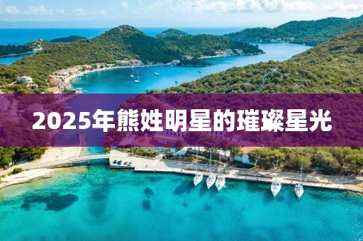 2025年熊姓明星的璀璨星光