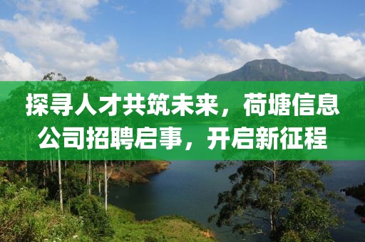 探尋人才共筑未來,荷塘信息公司招聘啟事,開啟新征程