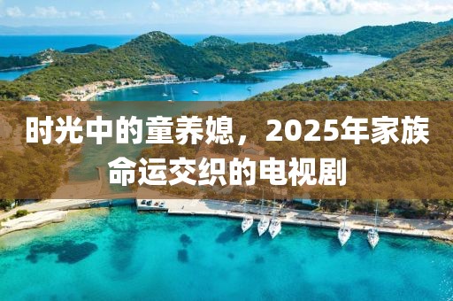 時光中的童養媳,2025年家族命運交織的電視劇