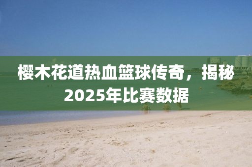 櫻木花道熱血籃球傳奇,揭秘2025年比賽數據
