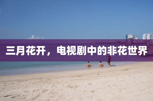 三月花開(kāi),電視劇中的非花世界