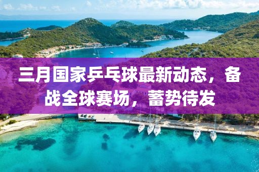 三月國家乒乓球最新動態,備戰全球賽場,蓄勢待發