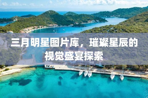三月明星圖片庫,璀璨星辰的視覺盛宴探索