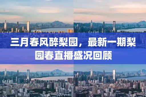 三月春風醉梨園,最新一期梨園春直播盛況回顧