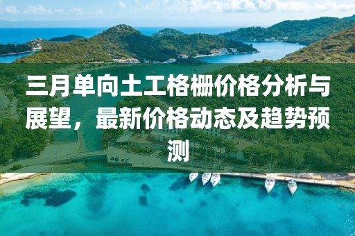 三月單向土工格柵價格分析與展望,最新價格動態及趨勢預測