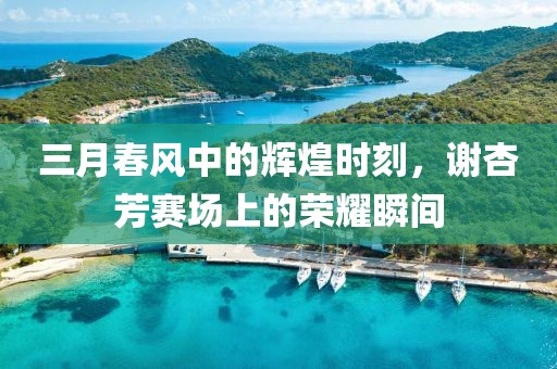 三月春風中的輝煌時刻,謝杏芳賽場上的榮耀瞬間