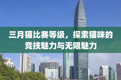 三月貓比賽等級,探索貓咪的競技魅力與無限魅力