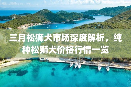 三月松獅犬市場深度解析,純種松獅犬價格行情一覽
