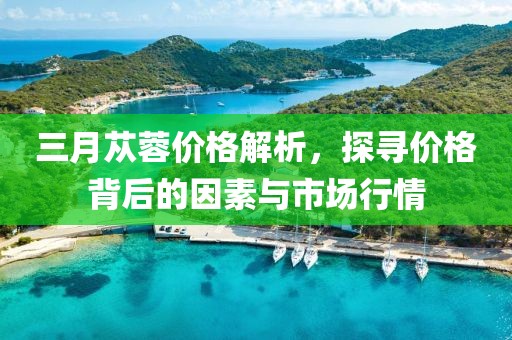 三月蓯蓉價格解析,探尋價格背后的因素與市場行情
