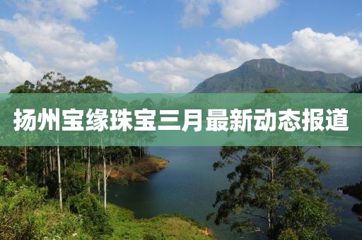 揚州寶緣珠寶三月最新動態報道