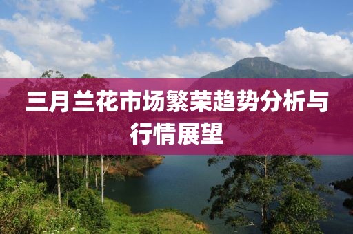 三月蘭花市場繁榮趨勢分析與行情展望