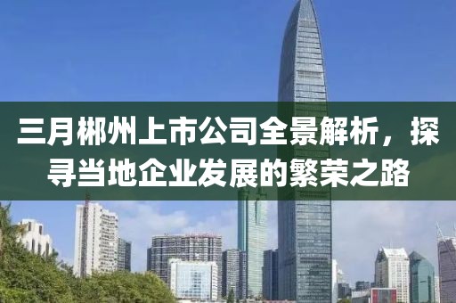 三月郴州上市公司全景解析,探尋當地企業發展的繁榮之路