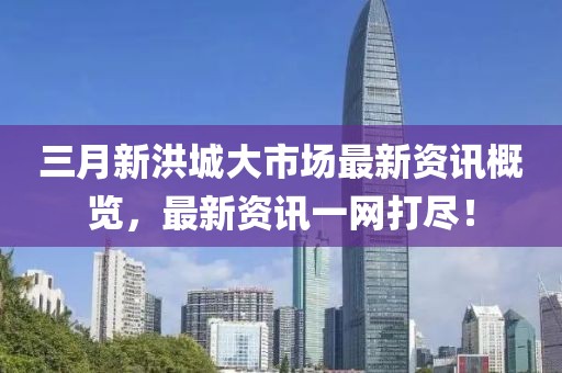 三月新洪城大市場最新資訊概覽,最新資訊一網打盡!