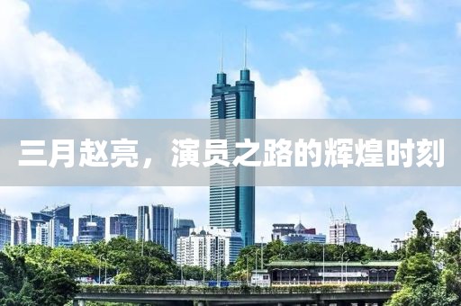 三月趙亮,演員之路的輝煌時刻