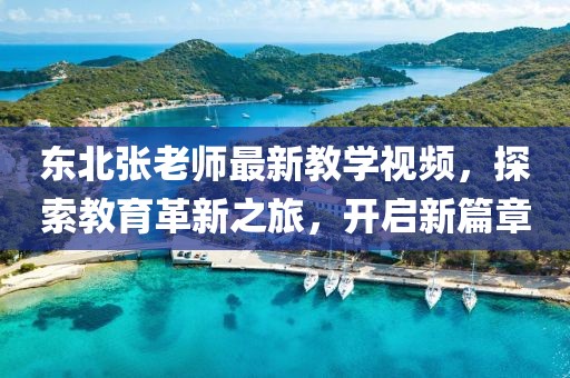 東北張老師最新教學視頻,探索教育革新之旅,開啟新篇章