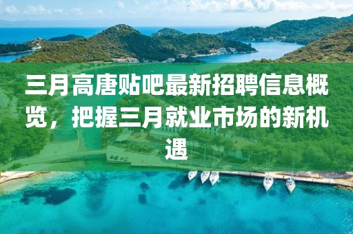 三月高唐貼吧最新招聘信息概覽,把握三月就業市場的新機遇
