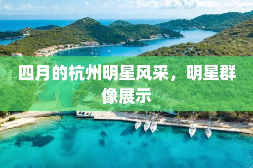 四月的杭州明星風(fēng)采,明星群像展示