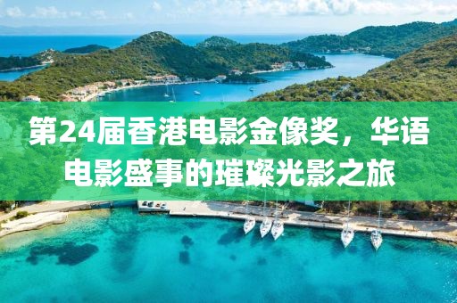 第24屆香港電影金像獎,華語電影盛事的璀璨光影之旅