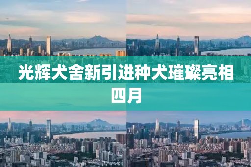 光輝犬舍新引進種犬璀璨亮相四月