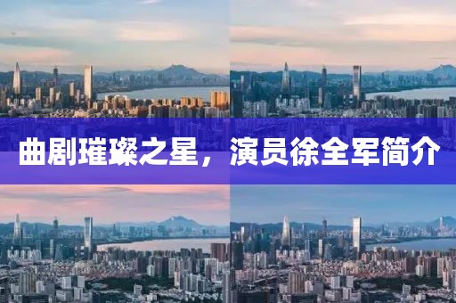 曲劇璀璨之星,演員徐全軍簡介