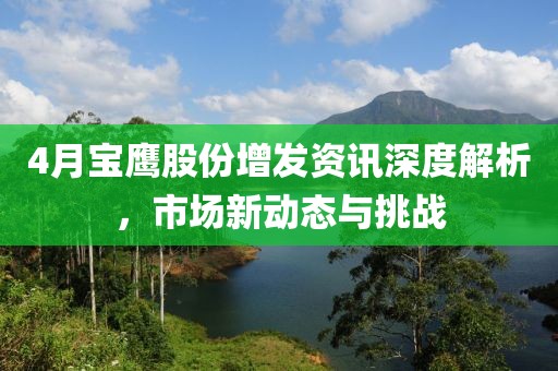 4月寶鷹股份增發資訊深度解析,市場新動態與挑戰