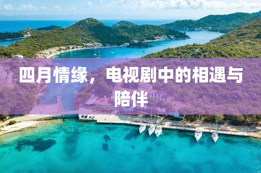 四月情緣,電視劇中的相遇與陪伴