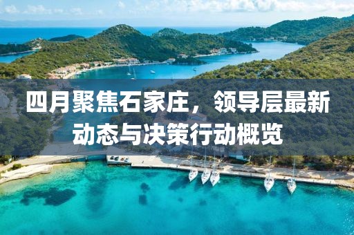 四月聚焦石家莊,領導層最新動態與決策行動概覽