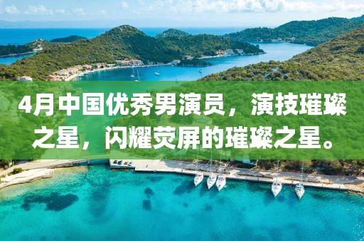 4月中國優秀男演員,演技璀璨之星,閃耀熒屏的璀璨之星。