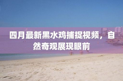 四月最新黑水雞捕捉視頻,自然奇觀展現眼前