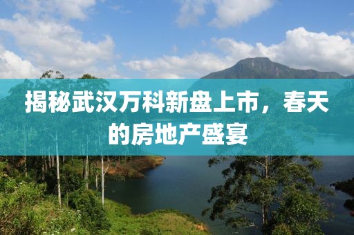 揭秘武漢萬科新盤上市,春天的房地產盛宴