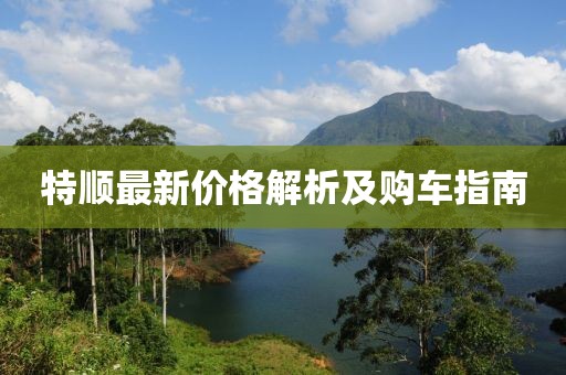 特順最新價格解析及購車指南