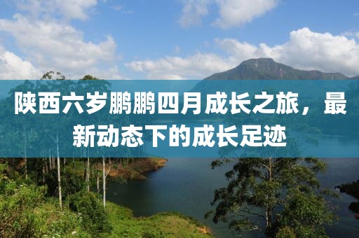 陜西六歲鵬鵬四月成長(zhǎng)之旅,最新動(dòng)態(tài)下的成長(zhǎng)足跡