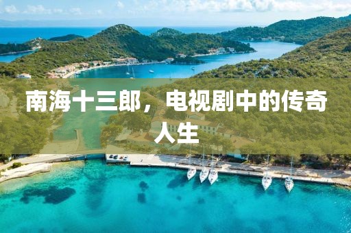 南海十三郎,電視劇中的傳奇人生