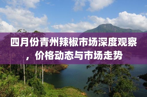 四月份青州辣椒市場深度觀察,價格動態(tài)與市場走勢