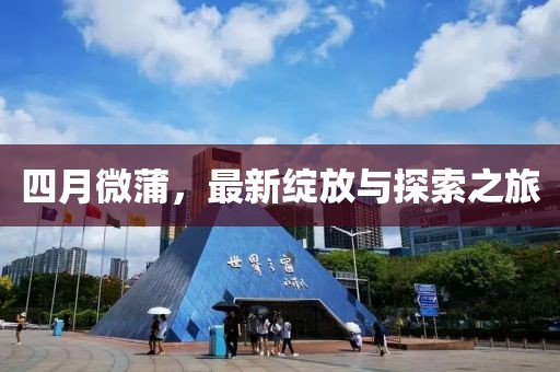 四月微蒲,最新綻放與探索之旅