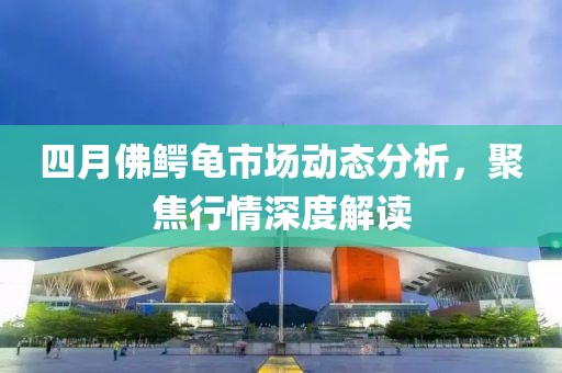 四月佛鱷龜市場動態分析,聚焦行情深度解讀