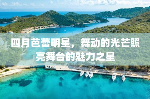 四月芭蕾明星,舞動的光芒照亮舞臺的魅力之星