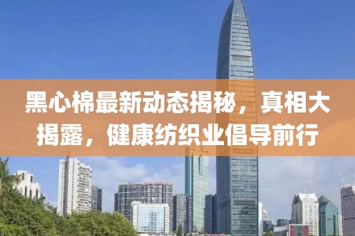 黑心棉最新動態揭秘,真相大揭露,健康紡織業倡導前行