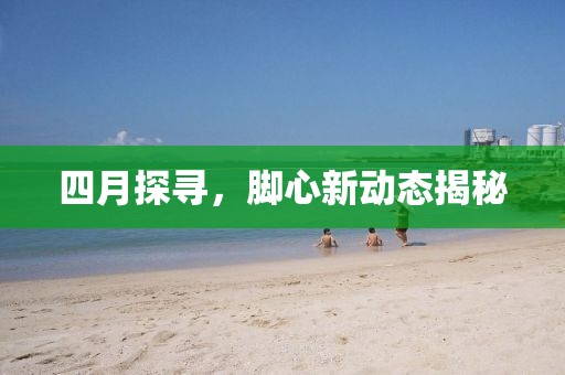四月探尋,腳心新動態揭秘