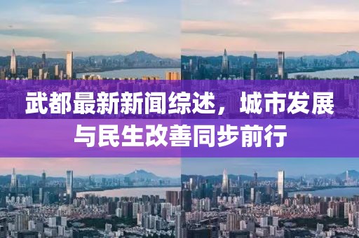 武都最新新聞綜述,城市發展與民生改善同步前行