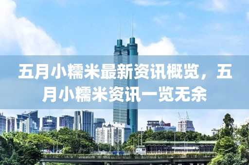 五月小糯米最新資訊概覽,五月小糯米資訊一覽無余