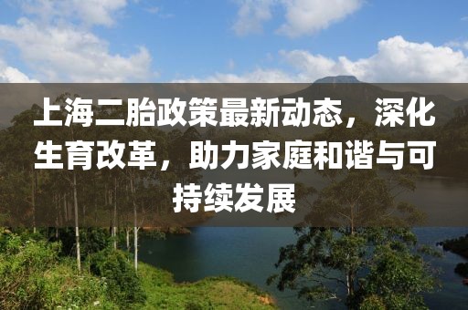 上海二胎政策最新動態,深化生育改革,助力家庭和諧與可持續發展