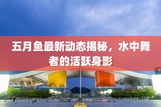 五月魚最新動態揭秘，水中舞者的活躍身影