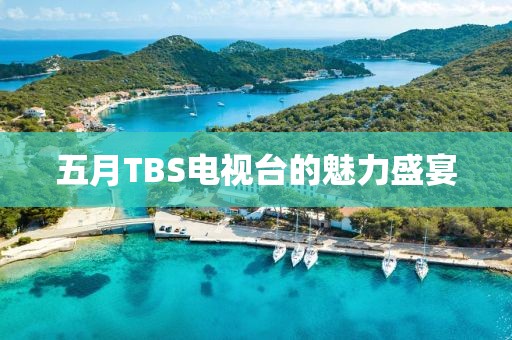 五月TBS電視臺的魅力盛宴