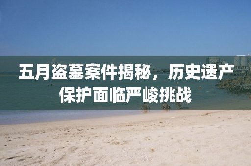 五月盜墓案件揭秘,歷史遺產保護面臨嚴峻挑戰